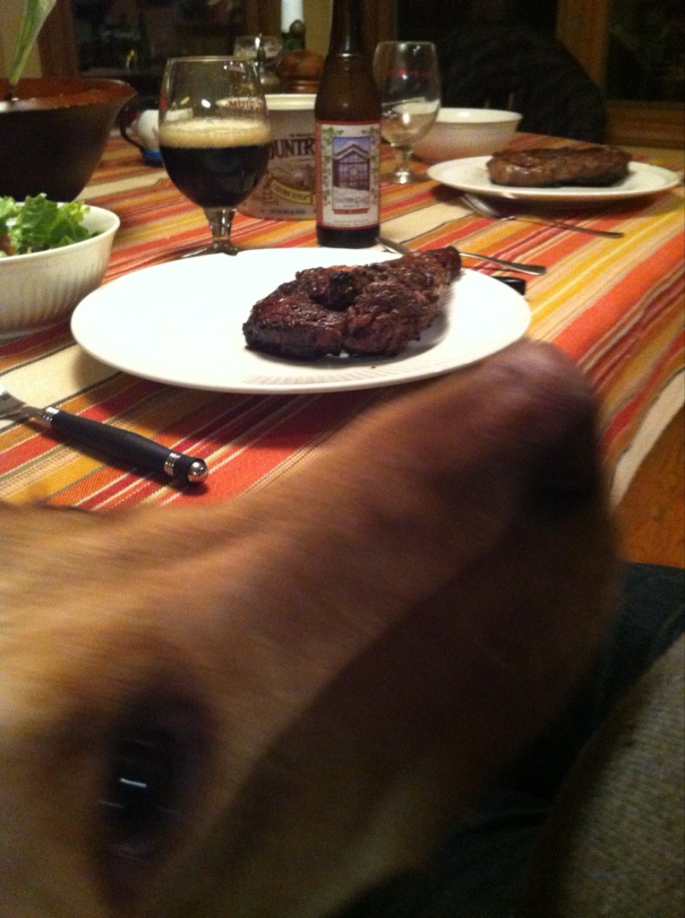 Steak Dinner and Dog